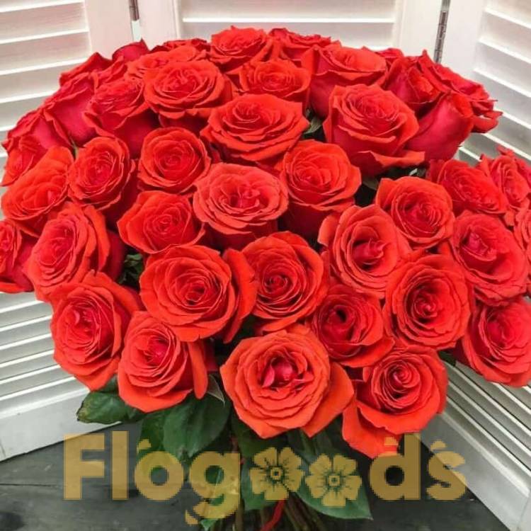 51 красная роза за 19 673 руб.